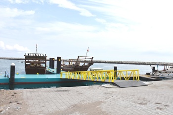 ميناء شناص
