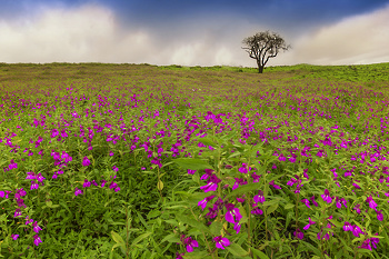 Photos from Oman