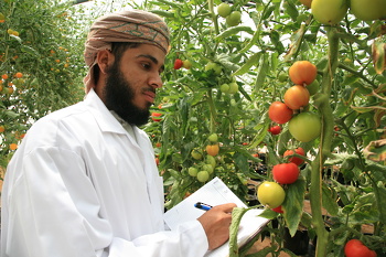 Los recursos agrícolas en El Sultanato de Omán