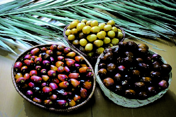 Los recursos agrícolas en El Sultanato de Omán