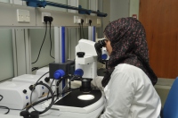 الخدمات الإجتماعية والطبية والهندسية