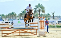 الخيل والهجن