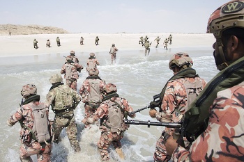 Ejercicios y maniobras militares conjuntas