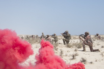 Ejercicios y maniobras militares conjuntas