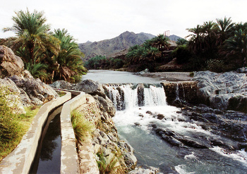 Wadis