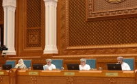 مجلس الدولة