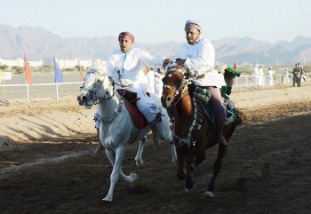 الخيل والهجن