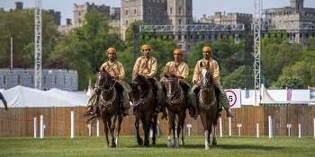 الخيل والهجن