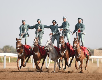 الخيل والهجن