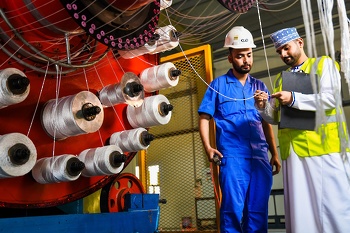 التجارة والصناعة