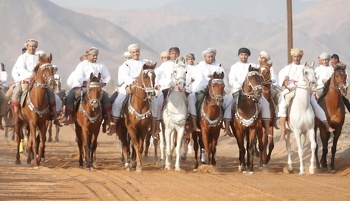 الخيل والهجن