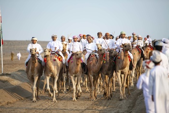 الخيل والهجن
