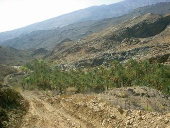 جبل شمس-ولاية الحمراء