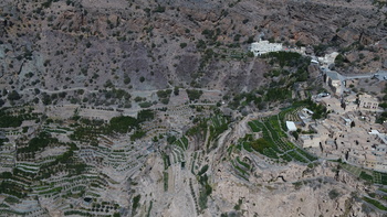 ولاية الجبل الاخضر