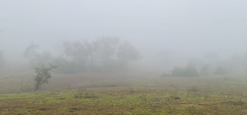 Dhofar Governorate