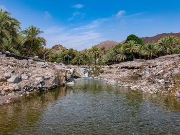 ولاية مدحاء