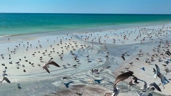 Al Raha Beach – Niyabat Al Lukbi – Wilayat of Al Jazir
