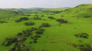 Dhofar Governorate