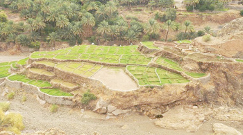 Al Aslat Town – Wilayat of Saham