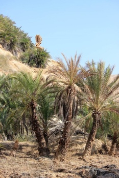 Wadi Al Shuwaymiyah in Shalim and Al Hallaniyat Islands
