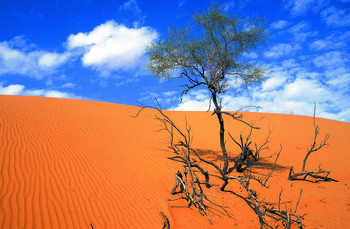 Bidiyah Sand