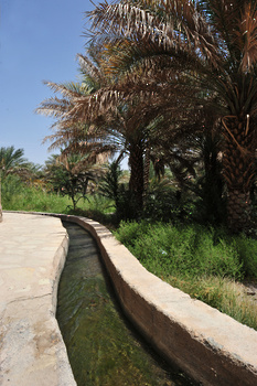 Falaj Al Raha – Wilayat Bidbid
