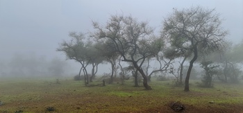 Dhofar Governorate