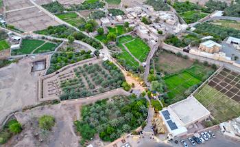 Oasis de Saʿra en la gobernación de Al Buraimi	
