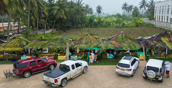 Fruit and Coconut Stalls