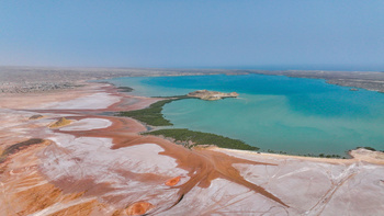 Khor Grama à Ras Al Hadd – Wilaya de Sour