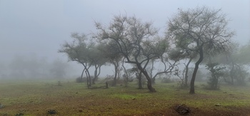Gouvernorat de Dhofar