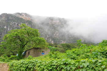 Gouvernorat de Dhofar