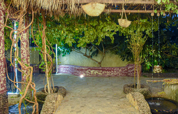 Oasis de Saʿra dans le gouvernorat d’Al Buraimi	