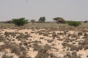 Uno de los valles de la Wilaya de Al Jazir
