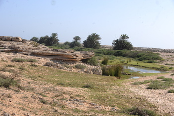 L’un des oueds (Wadi) de la wilaya d’Al Jazir