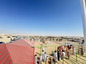 Wilaya de Thumrait
