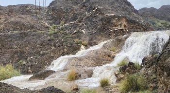 Wilaya de Al Awabi	