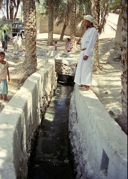 Falaj Al Ain en la wilaya de Adam