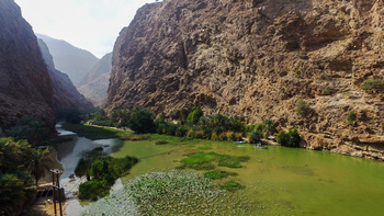 Niaba de Tiwi – Wadi Shab – Wilaya de Sur