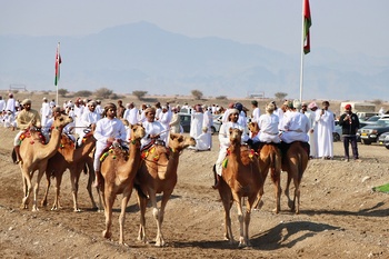 Festival Al Asalah de camellos y caballos – wilaya de Saham	