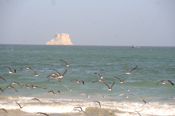 Wilaya de Al Duqm