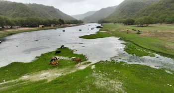 Wilaya de Dhalkut