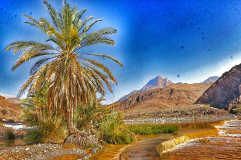 Village de “Sabt” – Wilaya d’Al Kamil Wa  Al Wafi 