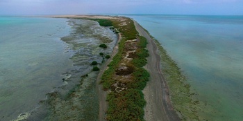 Île de Marsis – Wilaya de Massirah