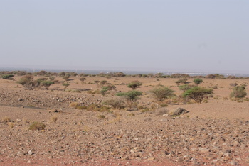Al Saleel Natural Park Reserve