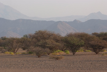 Al Saleel Natural Park Reserve