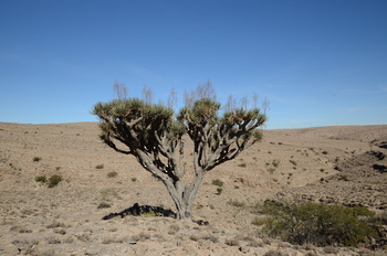 محمية جبل سمحان