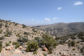 محمية الجبل الاخضر للمناظر الطبيعية