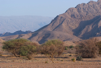 Al Saleel Natural Park Reserve