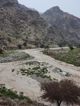 محمية السرين الطبيعية